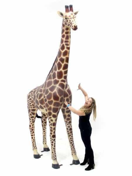 Life-size Giraffe