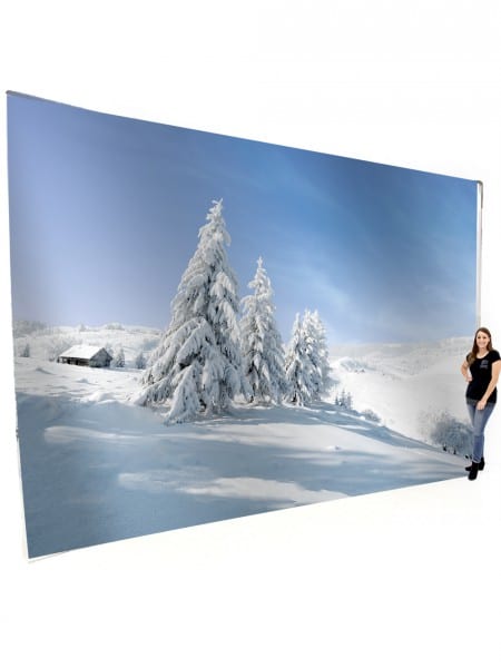 Snowy Winter Scene Backdrop #2 (6m x 4m)