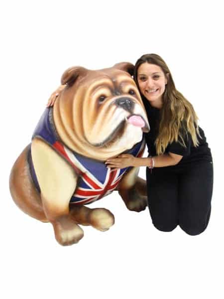 Giant British Bulldog