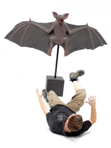 Giant Halloween Pig Bat Prop
