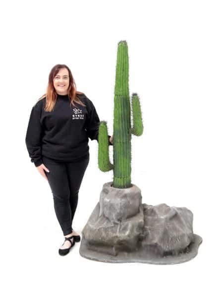 Cactus  rock