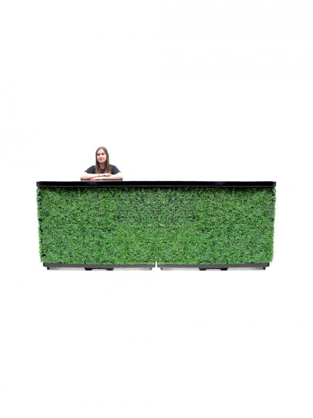 Box Hedge Bar (3m)