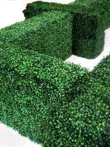 Box Hedge Seating Maze (14 Pieces) | EPH Creative - Event Prop Hire