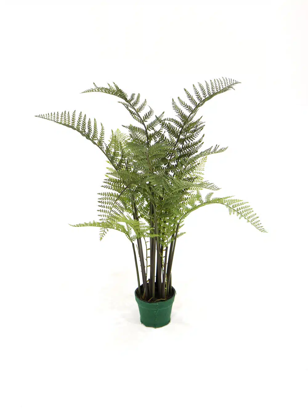 Fern Plant - Medium | EPH Creative - Event Prop Hire