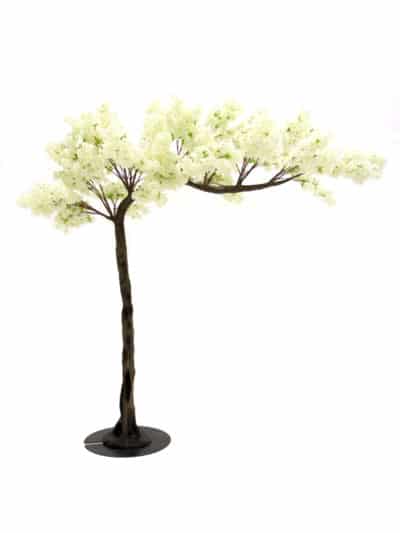 Canopy Tree (3.3m) - Cream Blossom | EPH Creative - Event Prop Hire