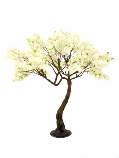 Twisted Trunk Tree (2.9m) - Cream Blossom | EPH Creative - Event Prop Hire