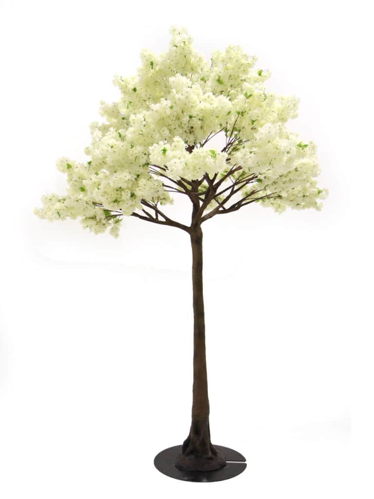 Extra Tall Trunk Tree (3.8m) - Cream Blossom | EPH Creative - Event ...