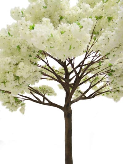 Extra Tall Trunk Tree (3.8m) - Cream Blossom | EPH Creative - Event ...