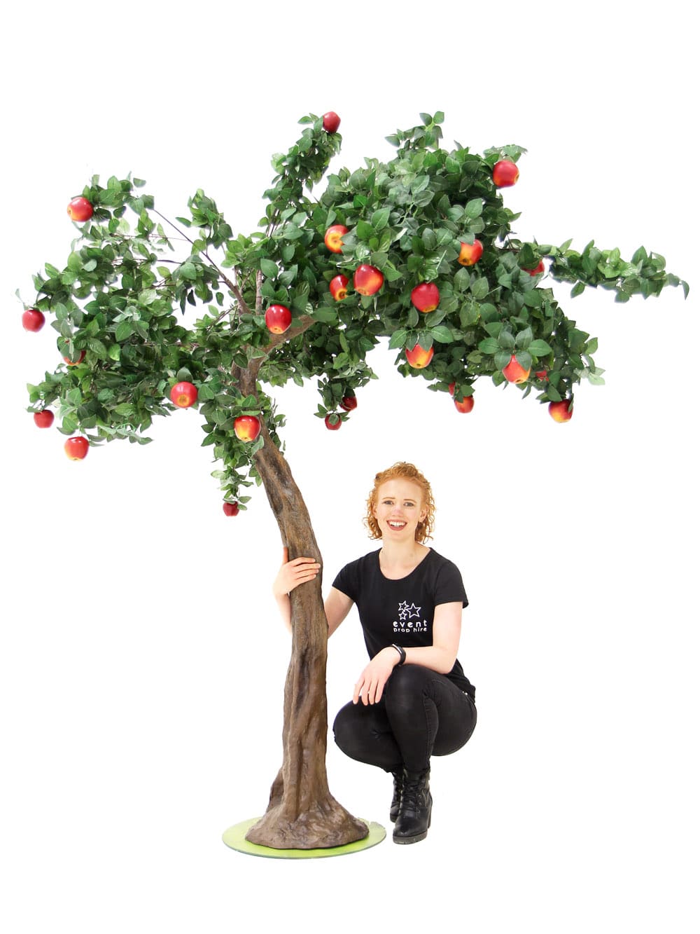 Apple Short Canopy Tree (2.5m)