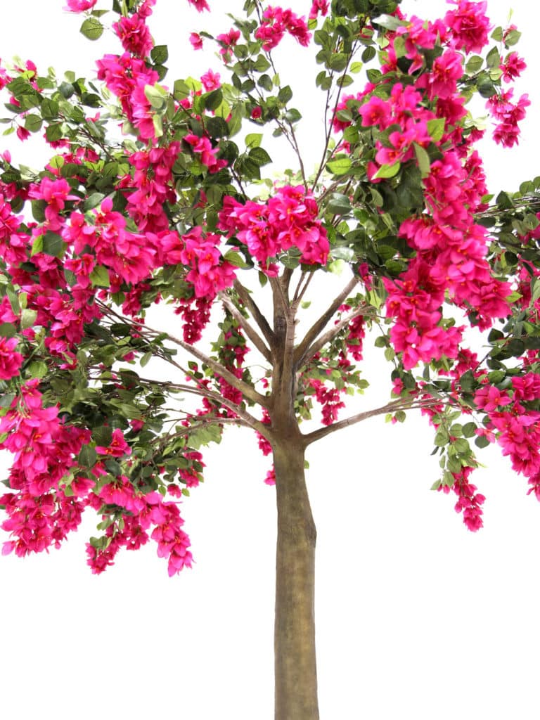 Medium Trunk Tree (2.8m) - Bougainvillea | EPH Creative - Event Prop Hire