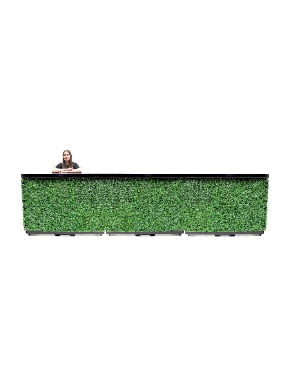 Box Hedge Bar (4.5m)
