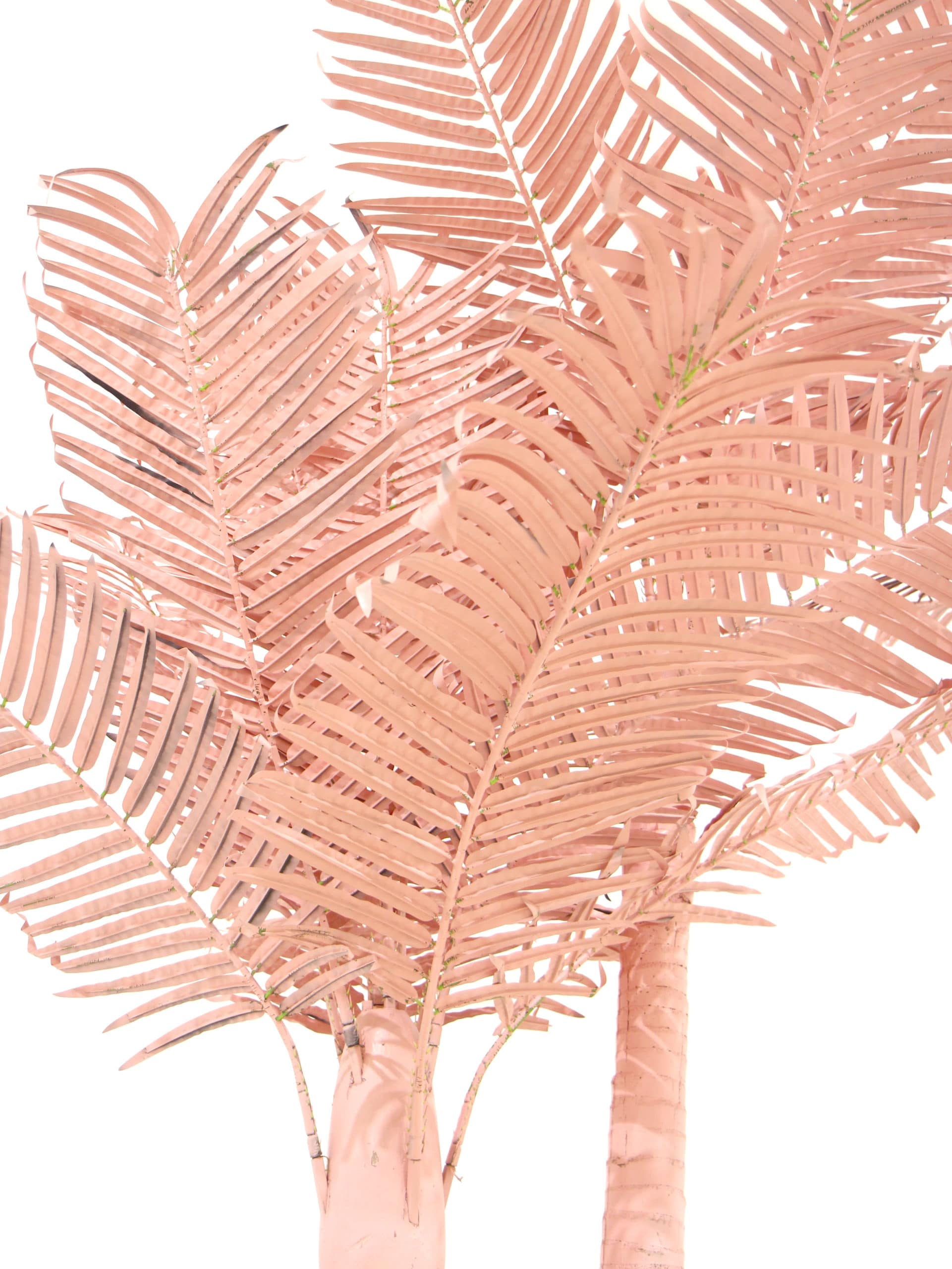 Buc-ee's Tank Tops Pink Palm Tree / XXL