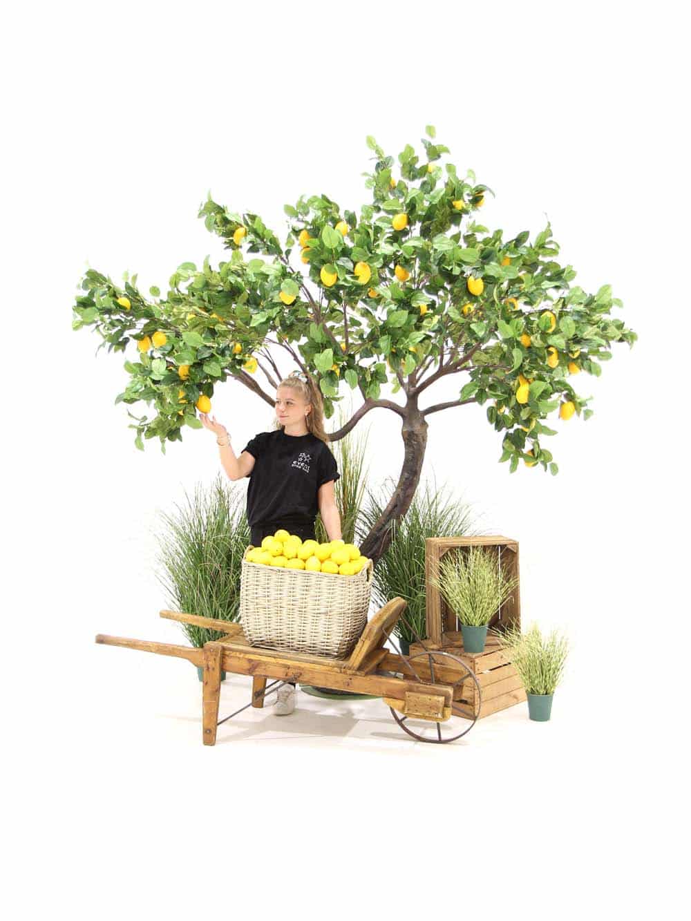 Lemon Tree & Rustic Cart Montage