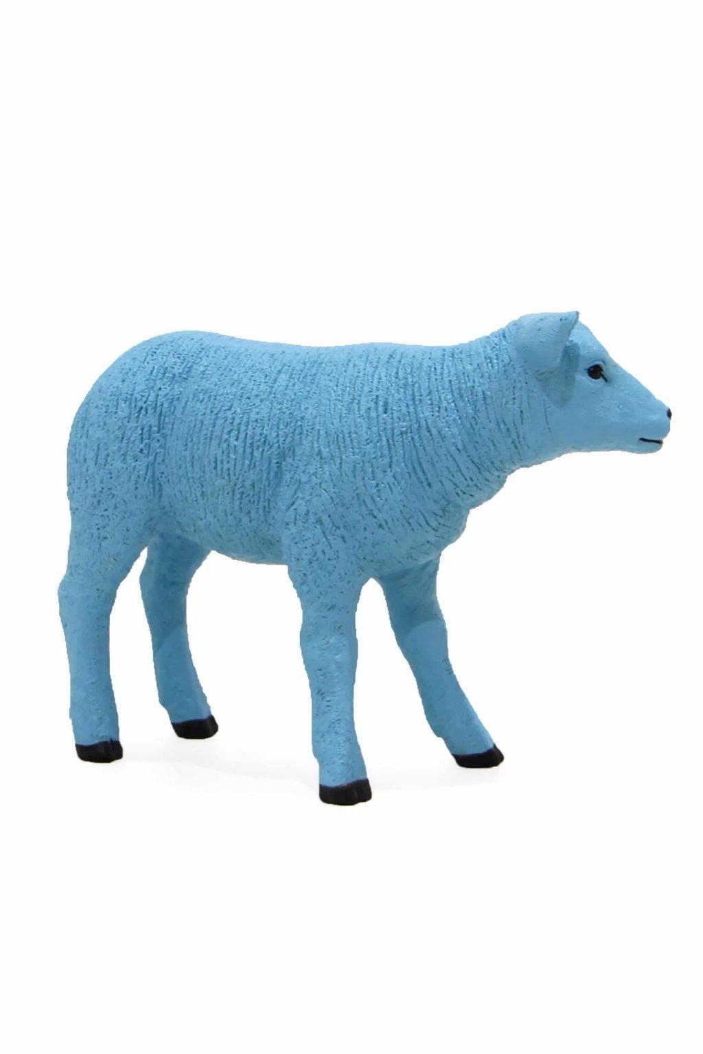 Life-Size lamb - Blue