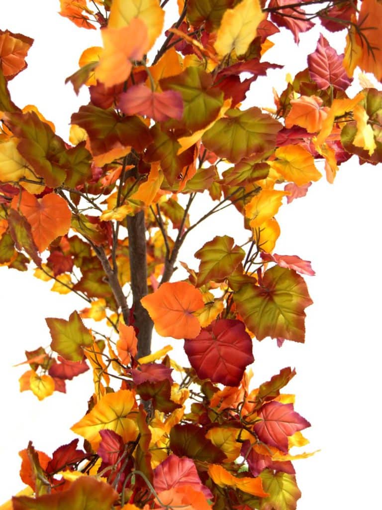 Interchangeable Archway (2.8m) - Autumn Foliage | EPH Creative - Event ...