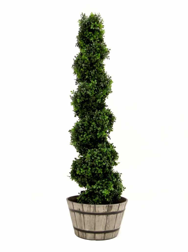 Box Hedges & Living Walls Hire | Event Props | EPH Creative - Event ...