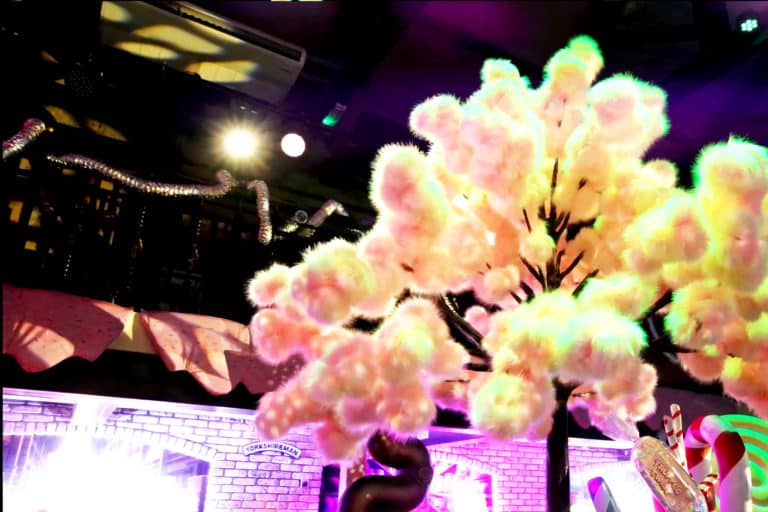 candy floss tree event pic 1