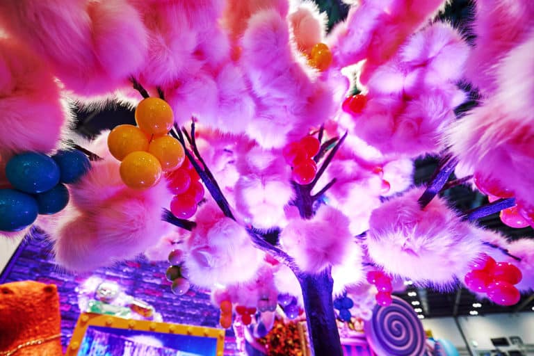 candy floss tree event pic 4