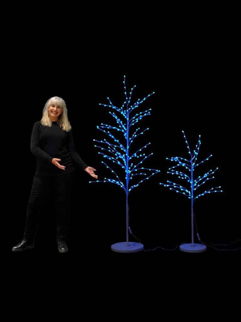 SN13682_SN13683_LED Colour Change Berry Trees_event_prop_hire_EPH_Creative_224 copy _optimised