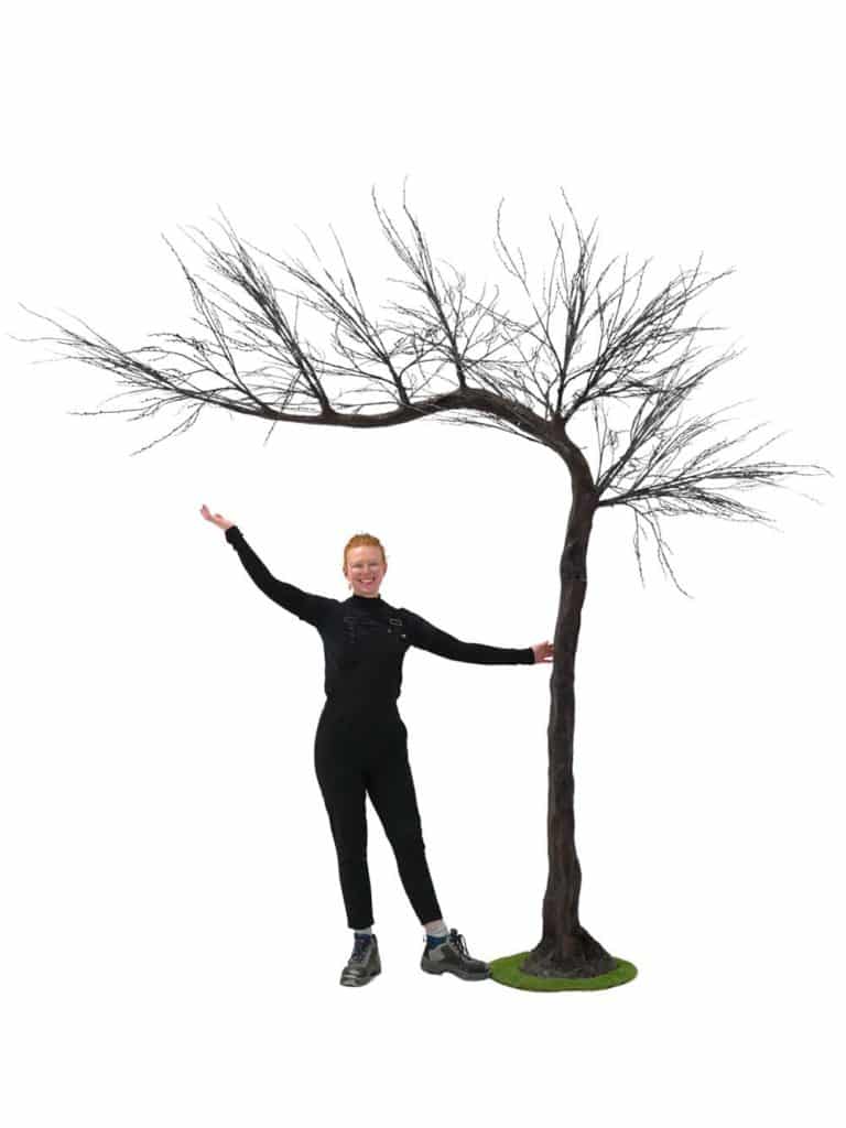 SN14828 _Canopy Tree (3m) - Black Sprig_event_prop_hire_EPH_Creative_012 copy _optimised