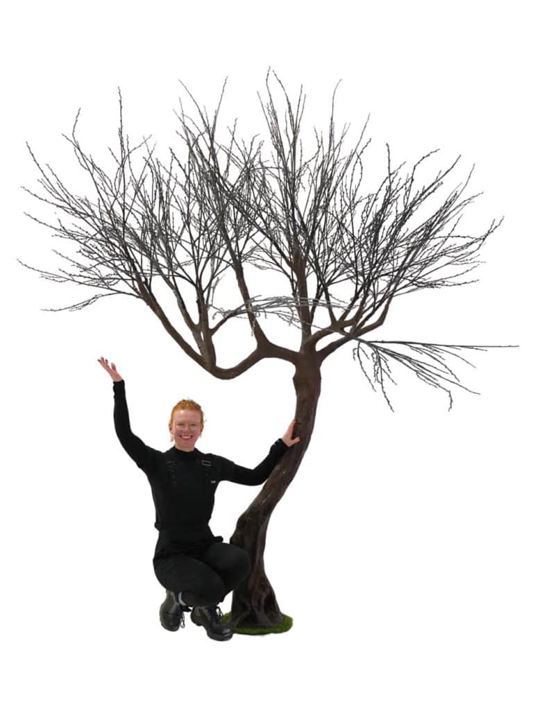 SN14829 _Twisted Trunk Tree (2.9m) - Black Sprig_event_prop_hire_EPH_Creative_028 copy _optimised